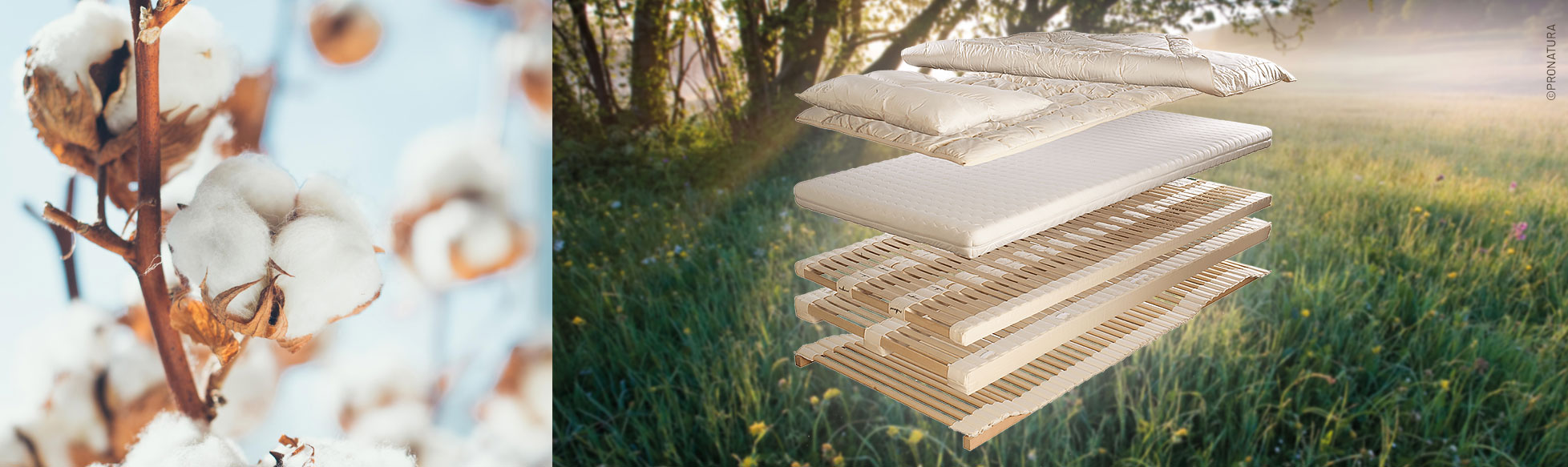 4-header-pronatura-Stauraumzauberer_Schreinerei-Freymark-freiburg-1