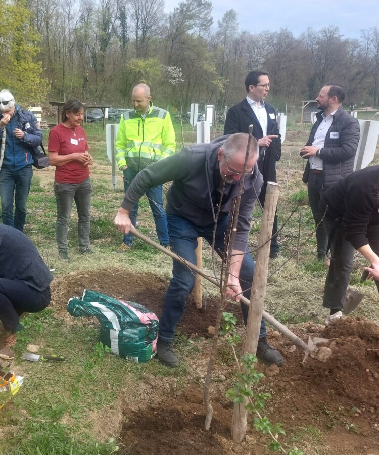 Schreinerei-Freymark_Baumpatenschaft_1 Schreinerei-Freymark_Baumpatenschaft_1