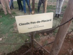 Schreinerei-Freymark_Baumpatenschaft_2