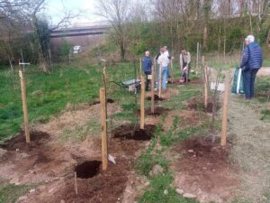 Schreinerei-Freymark_Baumpatenschaft_4